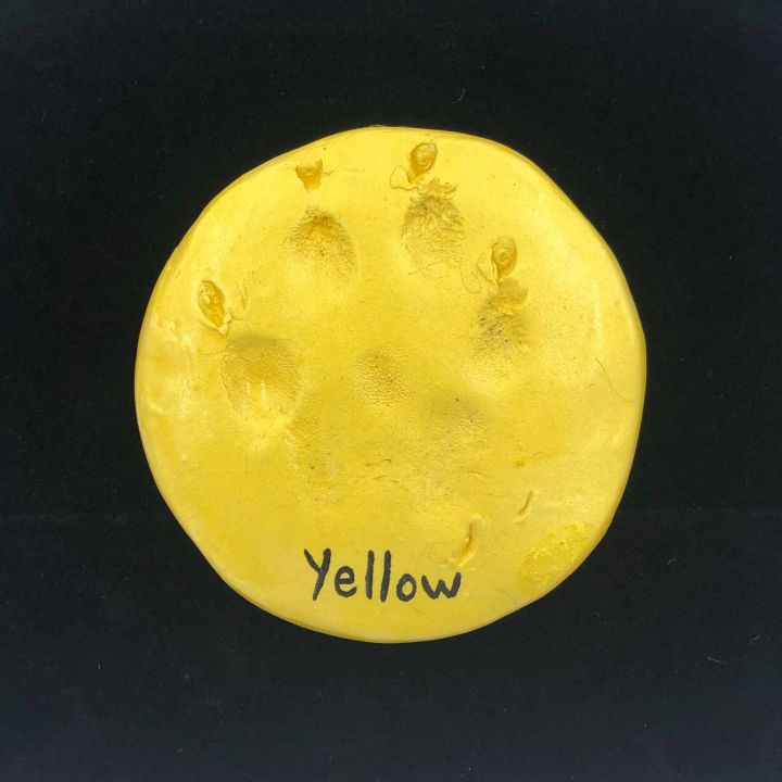 Clay Paw Yellow.JPG