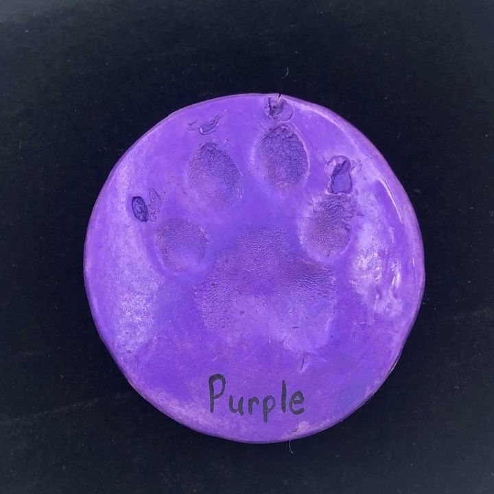 Clay Paw Purple.JPG